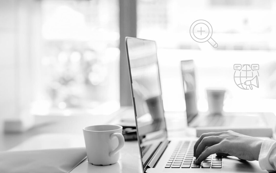 Seo Services