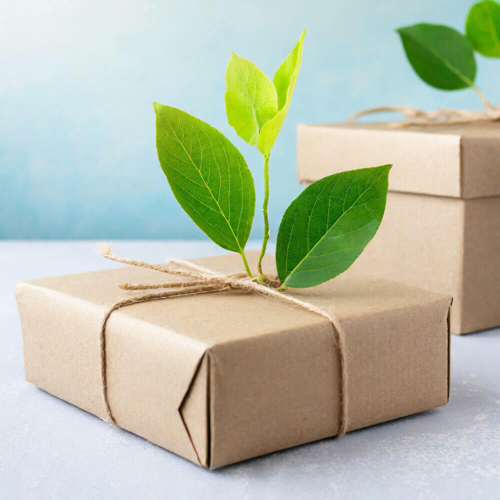 Packaging-Sustainable-Packaging-is-Expensive-and-Ineffective