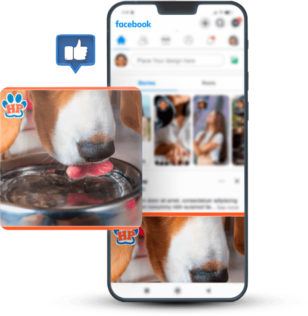 small-mighty-services-main